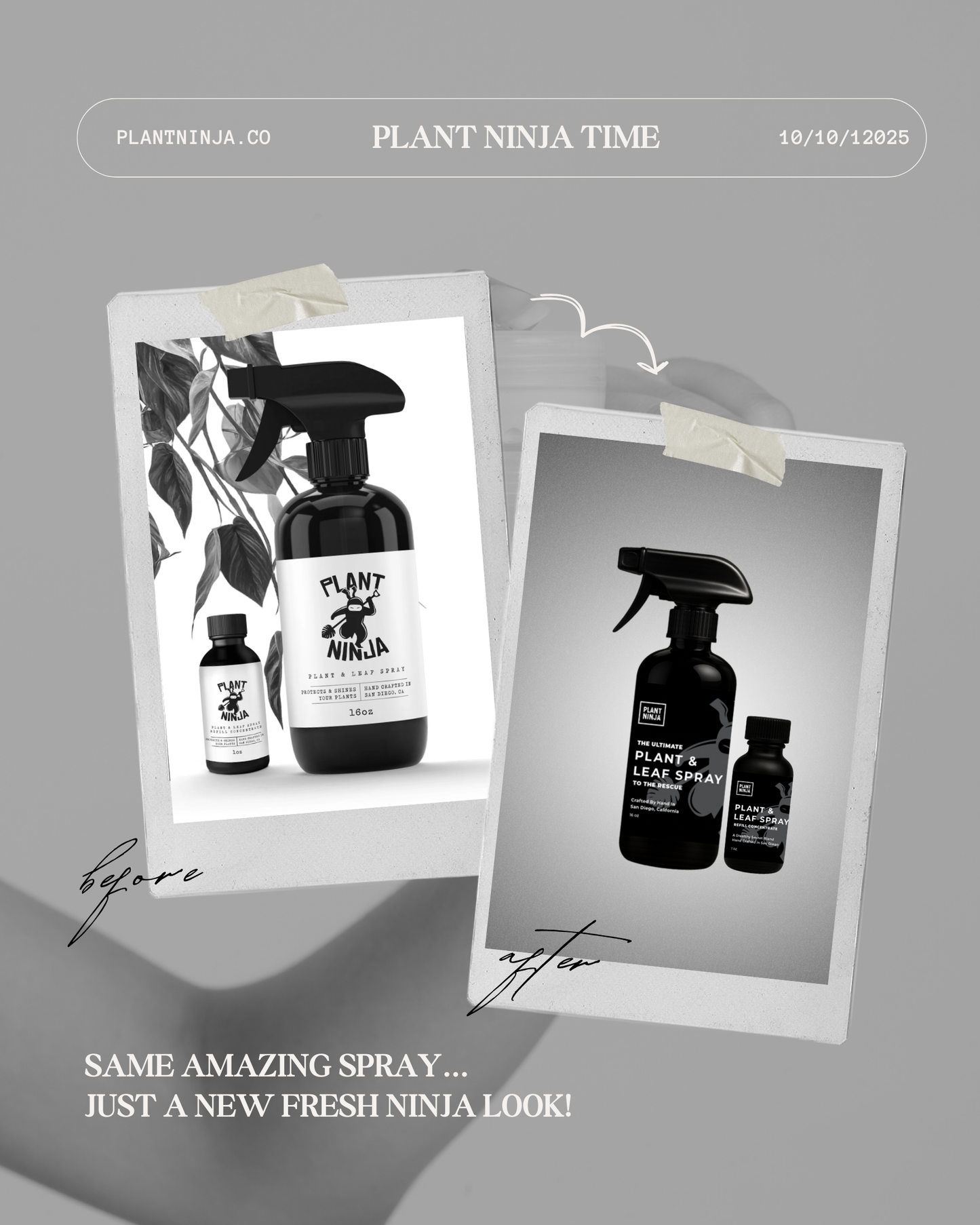 The Ultimate Plant and Leaf Spray