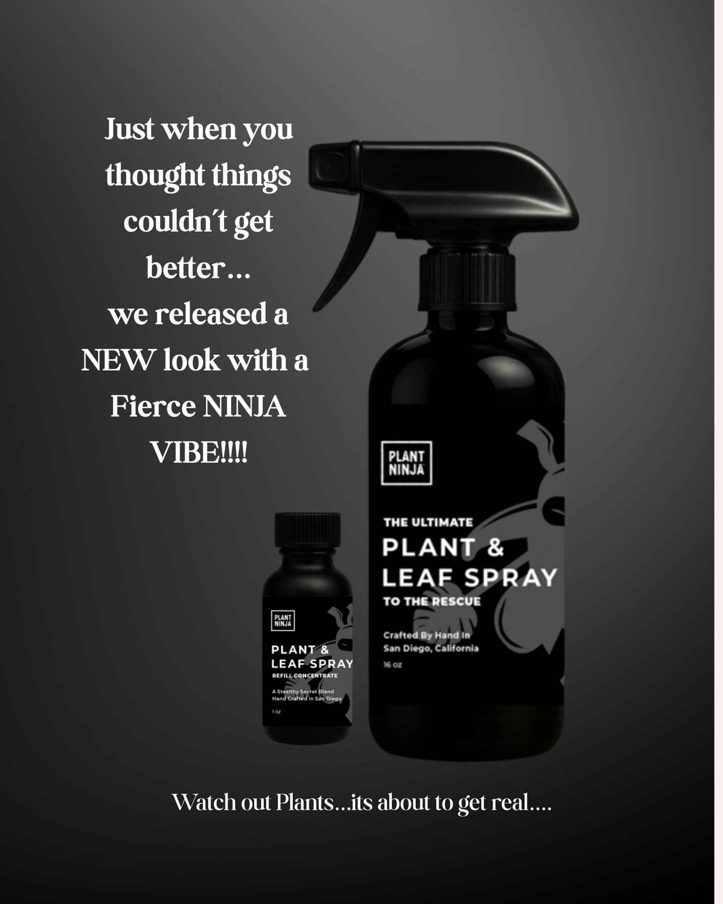 The 16oz Ultimate Plant and Leaf Spray