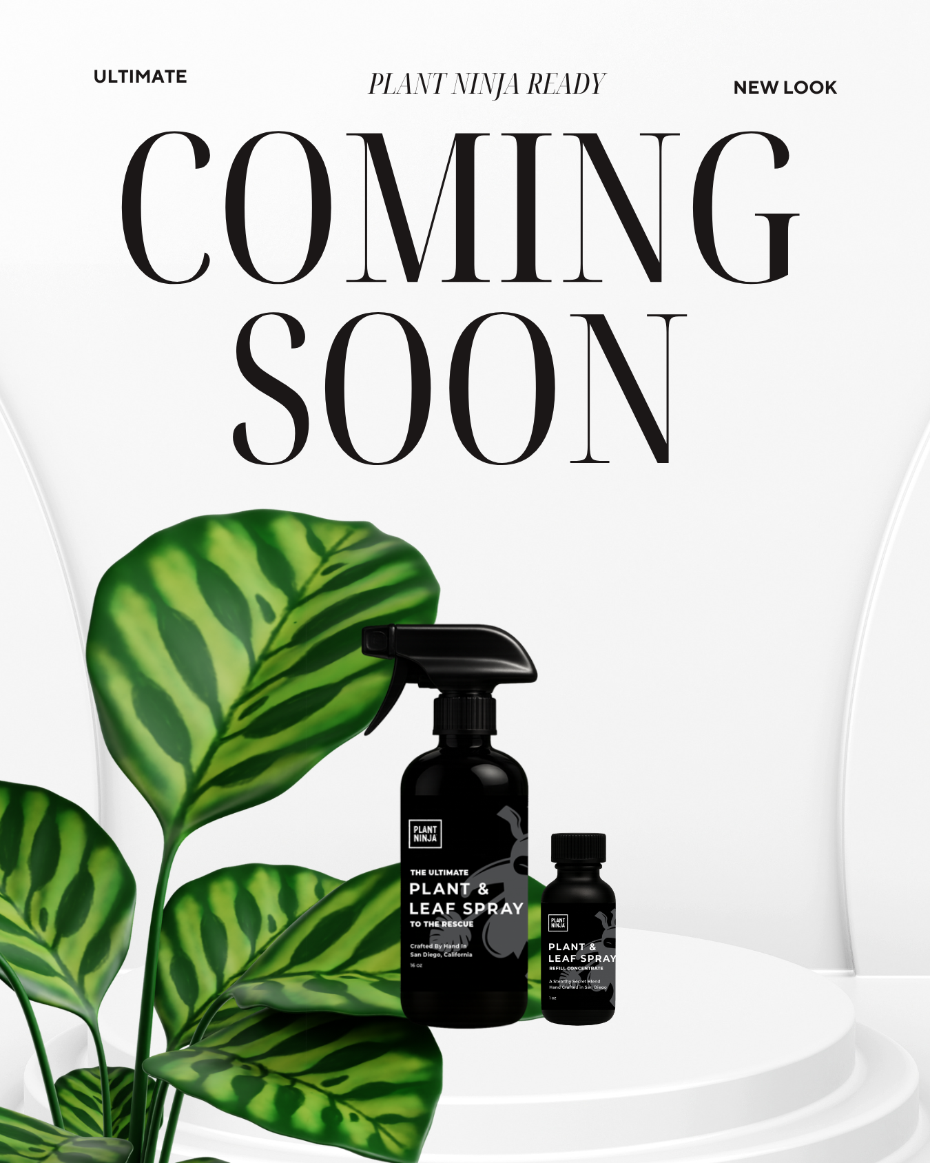 New Look Coming Soon!