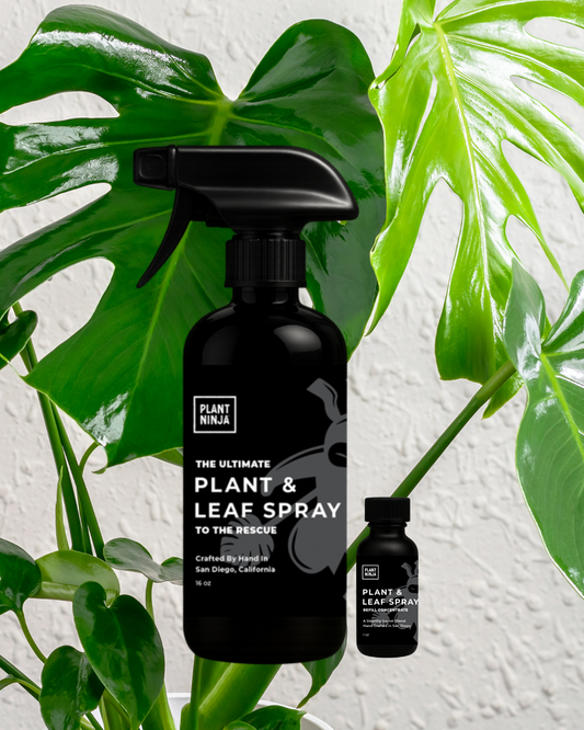 The Ultimate Plant and Leaf Spray