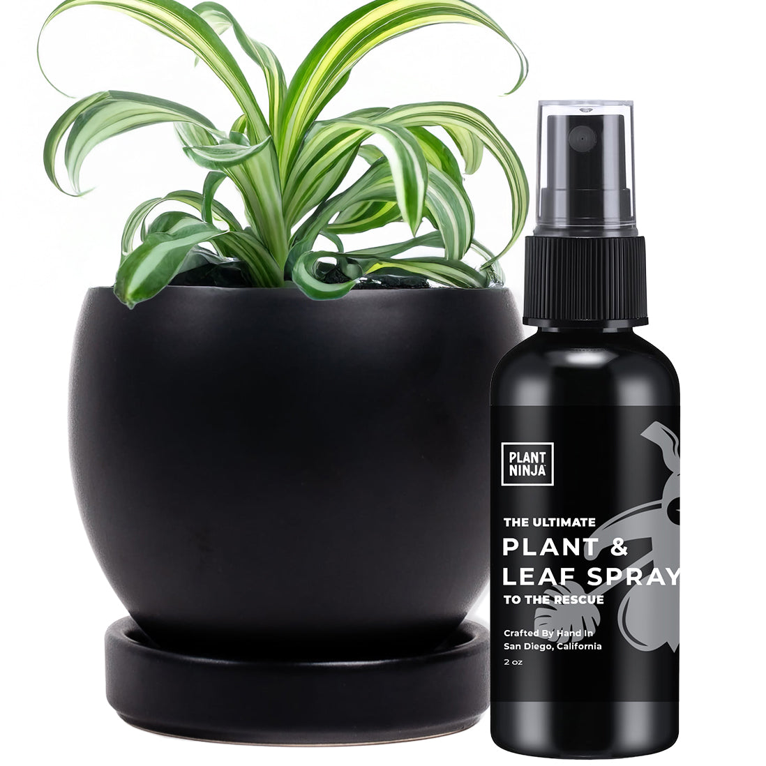Gift Set – Plant Ninja