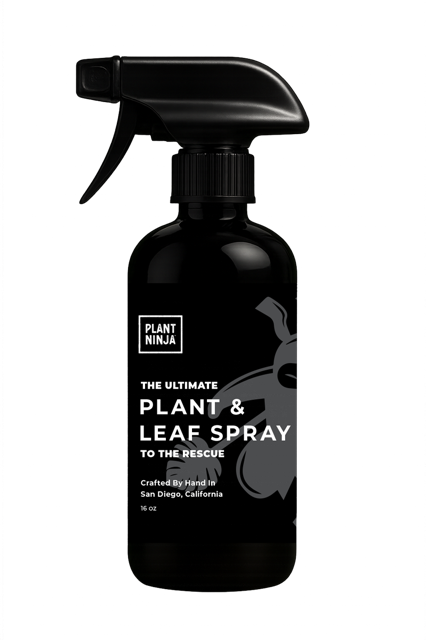 The Ultimate Plant and Leaf Spray