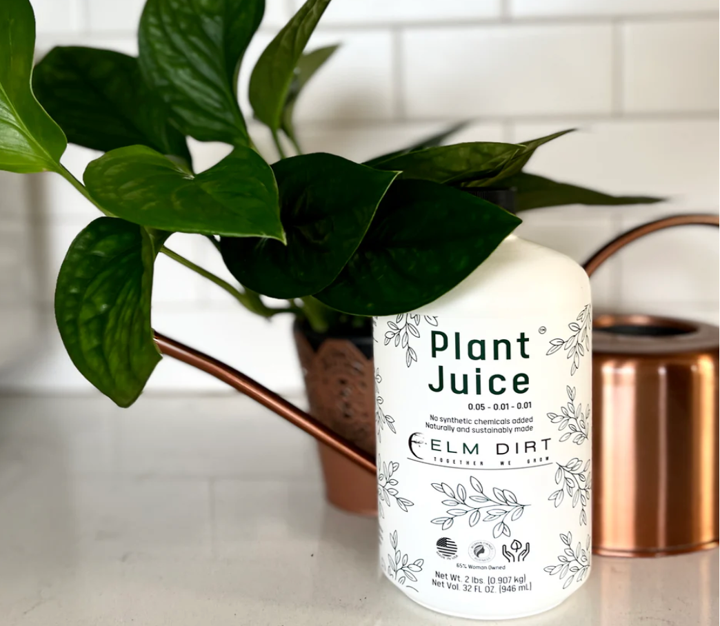 Elm Dirt Plant Juice