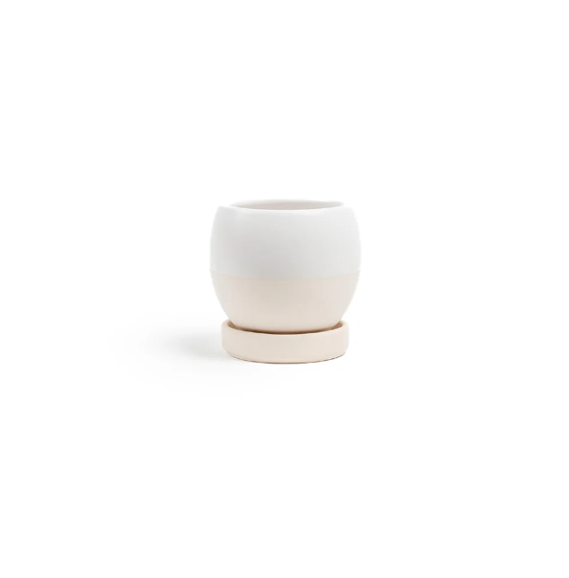 Momma Pots - Designer Pot with Water Saucer