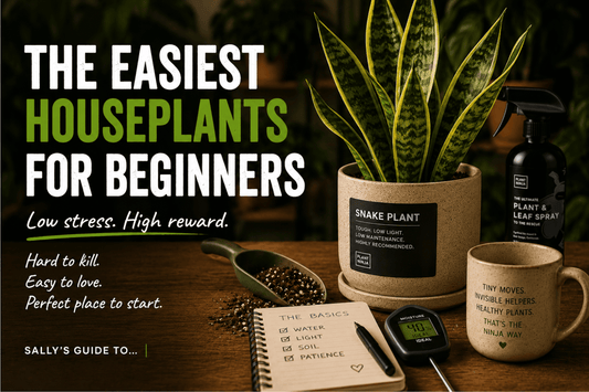 Sally Read ranking beginner-friendly houseplants including Chinese Evergreen, Monstera, and Peace Lily.