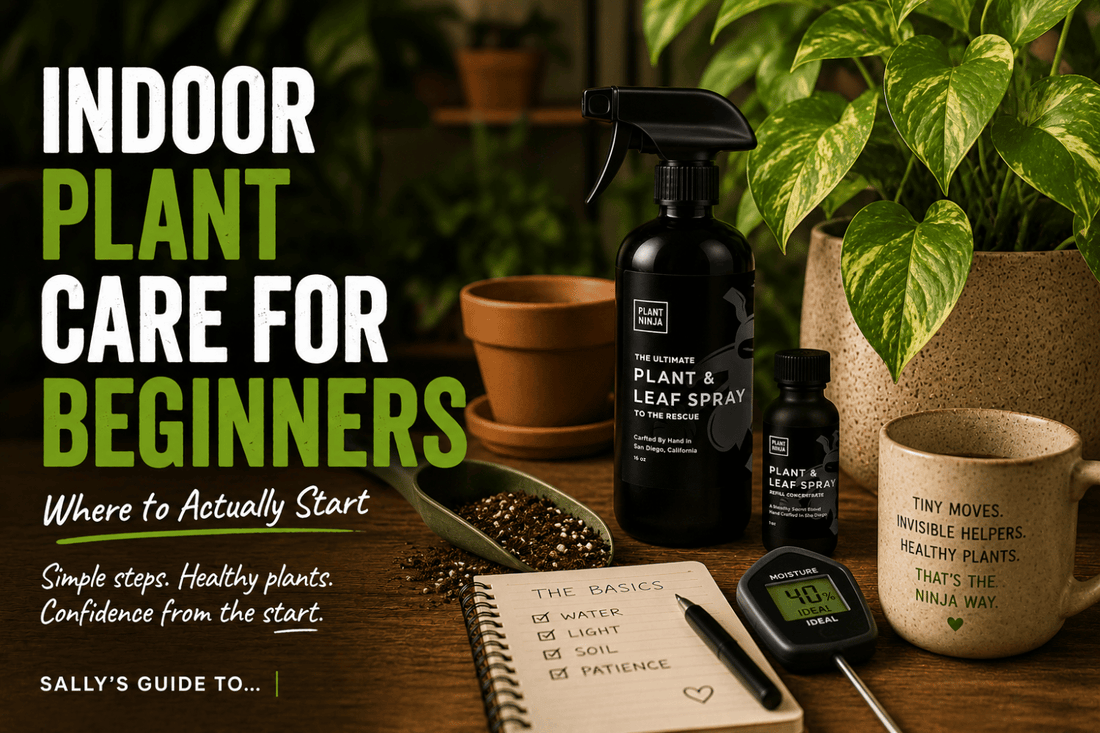 Indoor Plant Care for Beginners: Where to Actually Start | The Dirt by Plant  Ninja