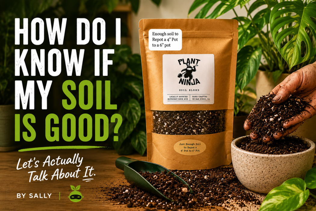 Plant Ninja soil blend beside loose potting soil and a potted houseplant, with bold text reading ‘How Do I Know If My Soil Is Good? Let’s Actually Talk About It.’ in a warm indoor plant care scene.