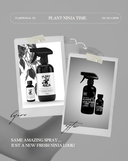 The Ultimate Plant and Leaf Spray