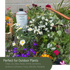 Elm Dirt Plant Juice Fertilizer Concentrate | Plant Ninja