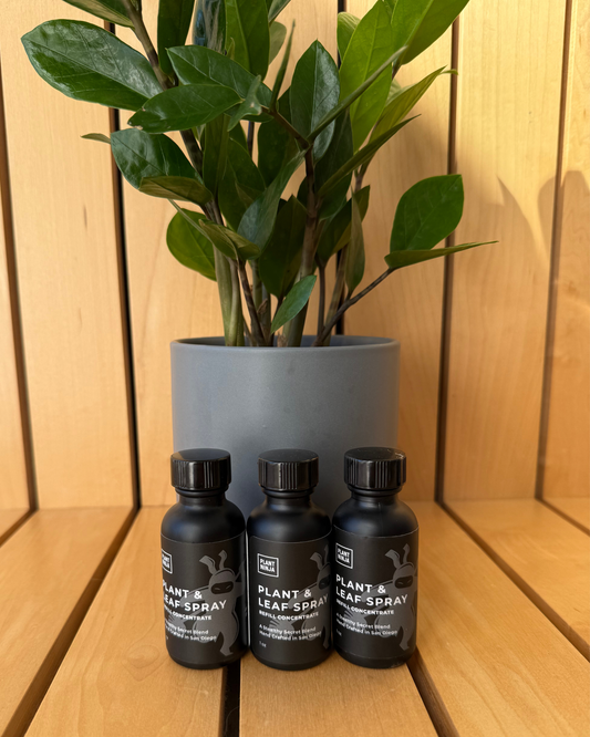 3 Pack Refill Concentrate The Ultimate Plant and Leaf Spray