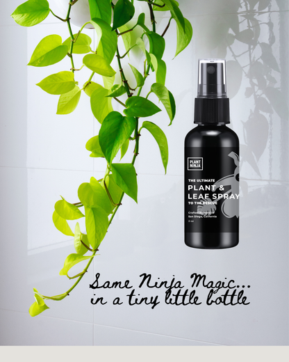 The Mini 2oz Ultimate Plant and Leaf Spray