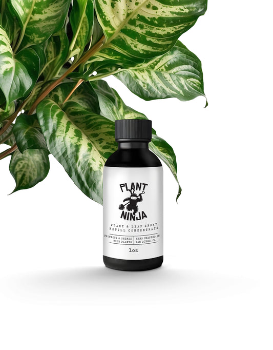 Plant and Leaf Spray - Refill Concentrate