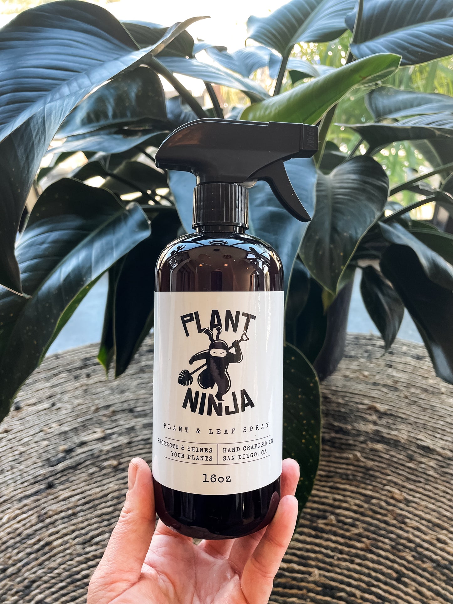 hand holding Plant Ninja Plant and Leaf Spray Bottle and Concentrate Product for Plant Health and Gardening