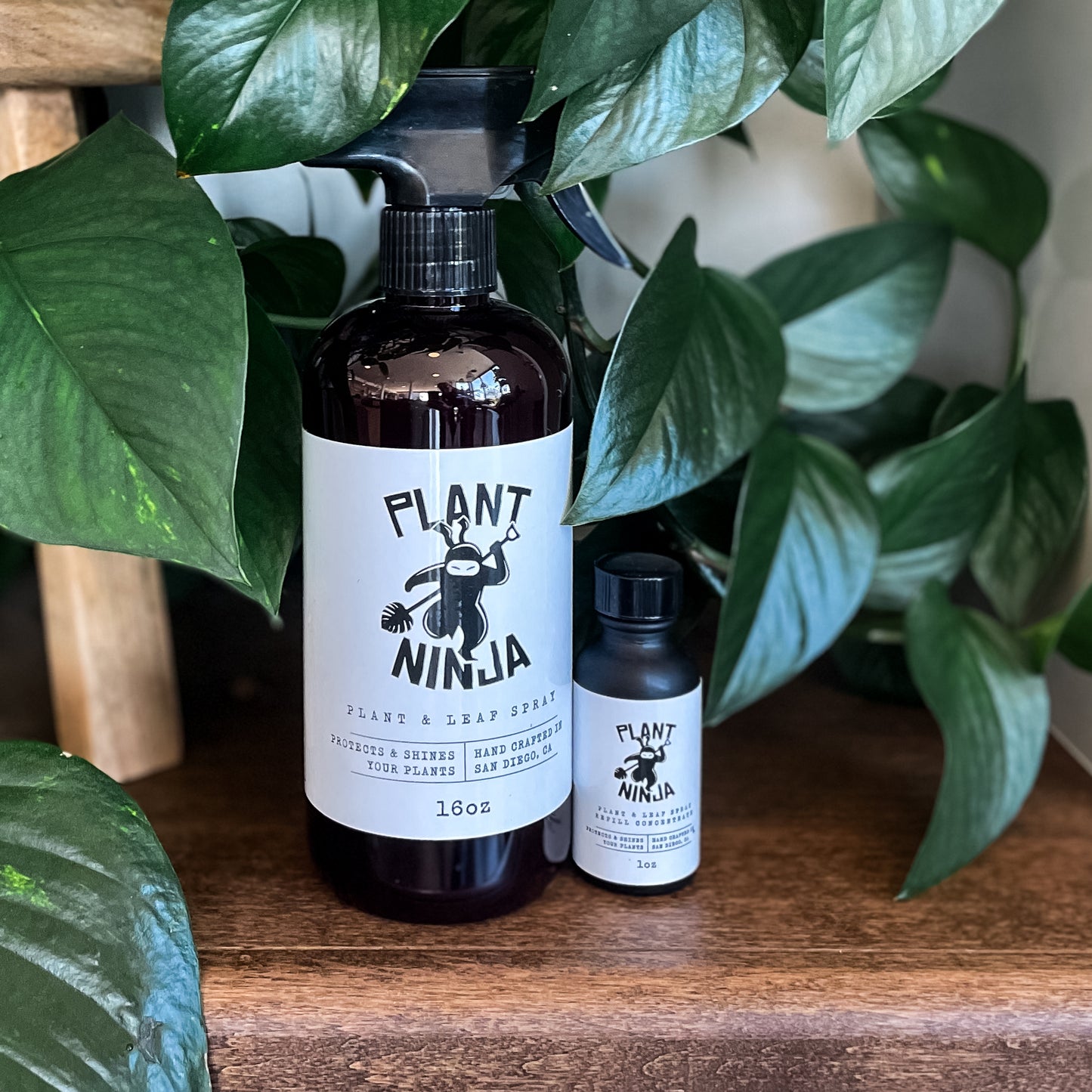 Plant Ninja Plant and Leaf Spray Bottle and Concentrate Product for Plant Health and Gardening