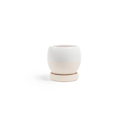 Momma Pots - Designer Pot with Water Saucer